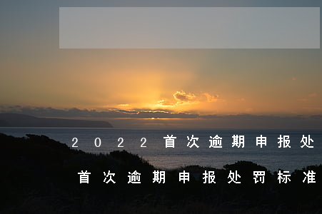 2022首次逾期申报处罚标准-2022首次逾期申报处罚标准是什么