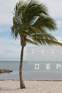 2023人事爭議仲裁委員會受理案件通知書最新模板范文免費