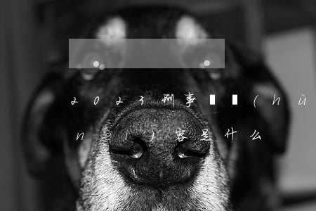 2023刑事辯護(hù)制度的主要內(nèi)容是什么