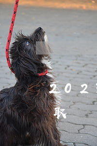 2023如果工伤认定请律师律师费怎么收取