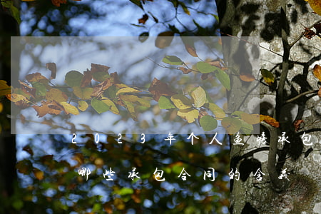 2023年个人鱼塘承包标准合同的内容有哪些（承包合同的含义）
