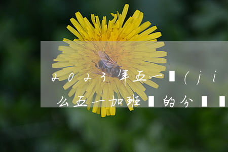 2023年五一節(jié)放假安排是什么（五一加班費的分類計算）