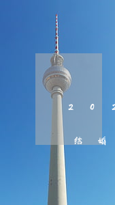 2023年去领结婚证需要带什么东西（办理结婚证需要携带哪些证件）