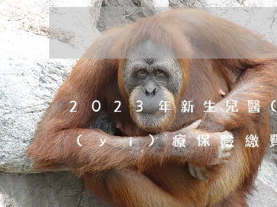 2023年新生兒醫(yī)保怎么辦理（醫(yī)療保險繳費比例是多少）