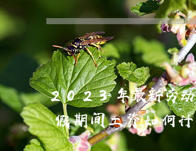 2023年最新劳动法病假是如何规定的（病假期间工资如何计算）
