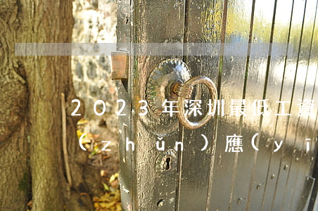 2023年深圳最低工資標(biāo)準(zhǔn)應(yīng)當(dāng)如何計(jì)算（相關(guān)法律規(guī)定）