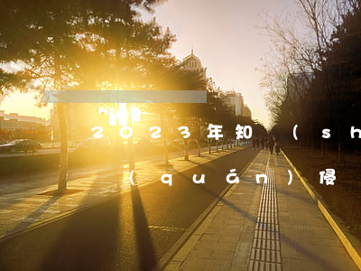 2023年知識(shí)產(chǎn)權(quán)侵權(quán)請(qǐng)律師一般多少錢(qián)