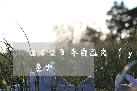 2023年自己交養(yǎng)老保險要多少錢