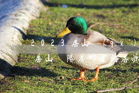 2023房山區(qū)兩限房房源有哪些（房山兩限房哪里的房源比較好）
