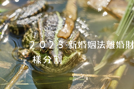 2023新婚姻法離婚財產(chǎn)怎樣分割