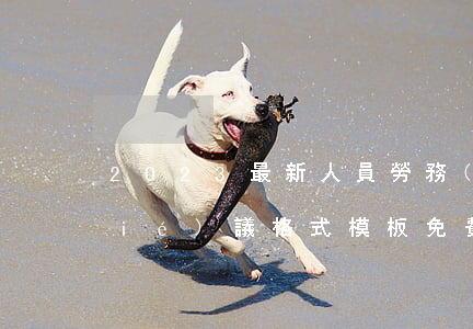 2023最新人員勞務(wù)安置協(xié)議格式模板免費范文
