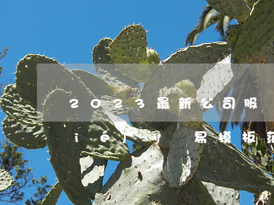 2023最新公司服務(wù)條款協(xié)議簡易模板范文