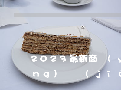 2023最新商業(yè)貸款申請(qǐng)書簡(jiǎn)易模板范文