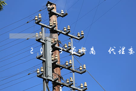 2023最新商標代理委托書模板范文