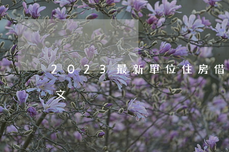 2023最新單位住房借款合同簡易模板范文