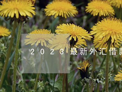 2023最新外汇借款合同格式模板下载