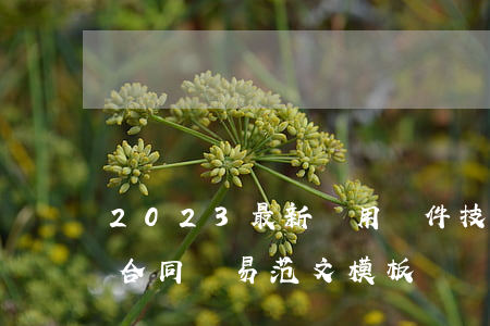 2023最新應用軟件技術(shù)服務合同簡易范文模板