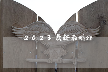 2023最新未婚公證書模板范文