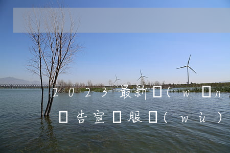2023最新網(wǎng)絡(luò)廣告宣傳服務(wù)合同簡易范文模板