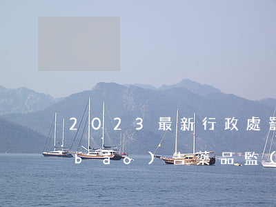 2023最新行政處罰結(jié)案報(bào)告藥品監(jiān)督行政執(zhí)法文書(shū)范文模板