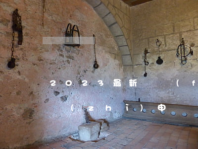 2023最新開發(fā)企業(yè)資質(zhì)申請區(qū)縣用表格式模板下載
