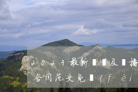 2023最新電視及廣播服務(wù)公證合同范文免費(fèi)下載