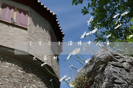 2023淄博市人事爭議仲裁委員會案卷范文最新