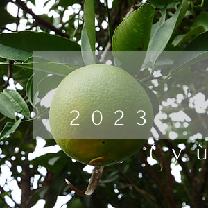 2023貨車營運(yùn)證取消了嗎（貨車營運(yùn)證怎么辦理）