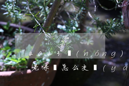 2023農(nóng)村養(yǎng)老保險怎么交（養(yǎng)老金待遇領(lǐng)取條件）