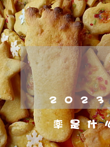 2023首套房贷款政策是什么（住房贷款利率是什么）