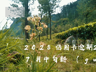 2028信用卡逾期 2020年信用卡逾期7月中旬新規(guī)