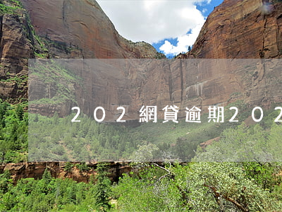 202網貸逾期(2020網貸逾期)