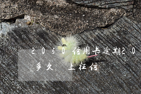 2050信用卡逾期(2020年信用卡逾期多久會上征信)