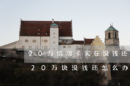 20万信用卡实在没钱还怎么办(信用卡借款20万块没钱还怎么办)