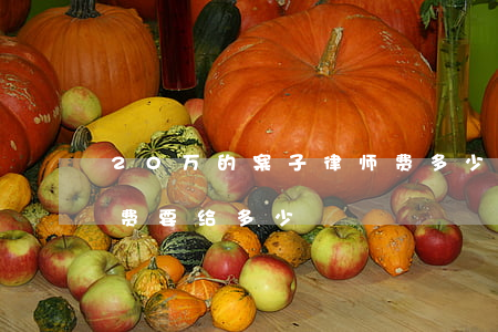 20万的案子律师费多少(20万的纠纷律师费要给多少)
