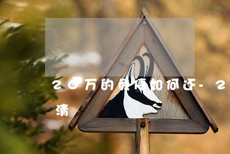 20万的负债如何还-20万的负债如何还清