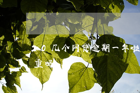 20几个网贷逾期一年啦(网贷逾期20天严重吗)