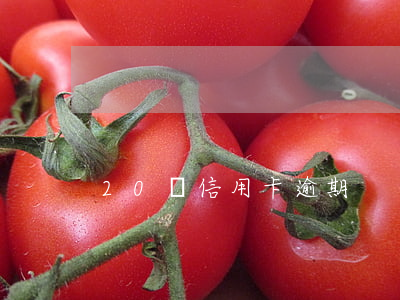 20塊信用卡逾期