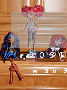 20多個網(wǎng)貸都怎么欠的(網(wǎng)貸欠了十幾萬)