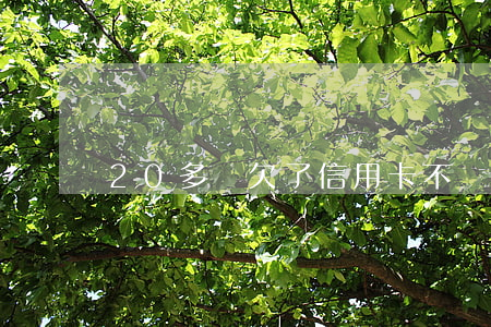 20多歲欠了信用卡不還