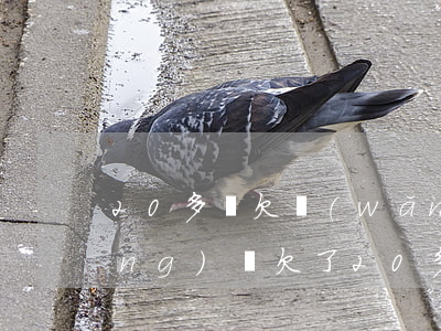 20多歲欠網(wǎng)貸五萬(網(wǎng)貸欠了20多萬)