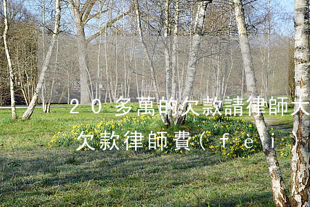 20多萬的欠款請律師大約多少錢(20萬的欠款律師費(fèi)多少)