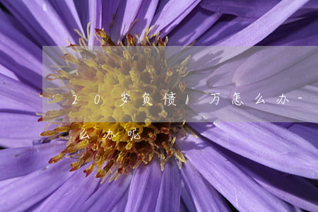 20岁负债1万怎么办-20岁负债1万怎么办呢