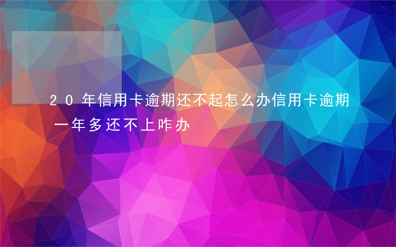 20年信用卡逾期还不起怎么办（信用卡逾期一年多还不上咋办）