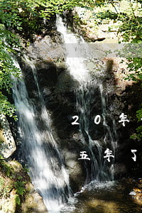 20年信用卡逾期還不起怎么辦（信用卡逾期五年了還不上怎么辦）