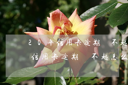 20年信用卡逾期還不起怎么辦理-20年信用卡逾期還不起怎么辦理延期還款