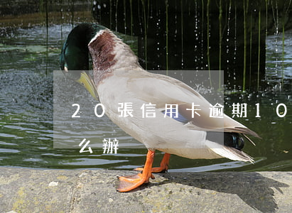 20張信用卡逾期(10張信用卡全部逾期怎么辦)