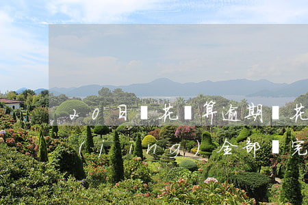 20日還花唄算逾期嗎(花唄逾期二十天已經(jīng)全部還完還可以使用嗎)