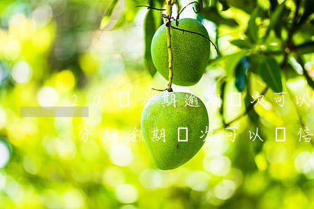 20歲分期逾期幾次可以辦信用卡-20歲分期逾期幾次可以辦信用卡嗎