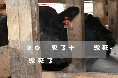 20歲欠了十幾萬想死-20歲欠了十幾萬想死了